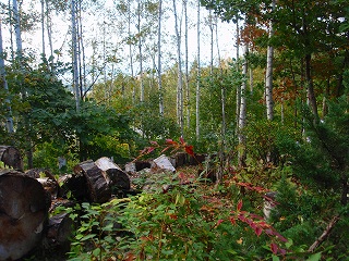e0004756_8153880.jpg
