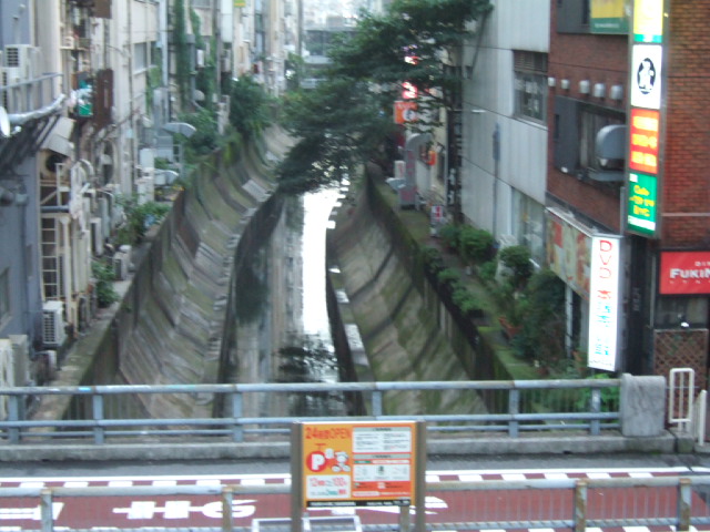 c0086766_20394759.jpg