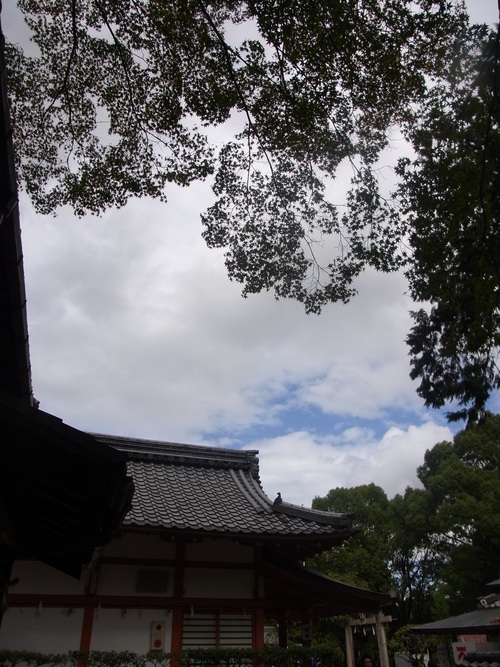 e0187567_2242179.jpg