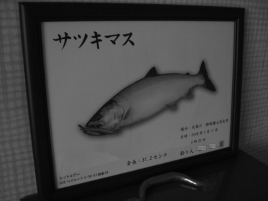 a0096669_7525687.jpg