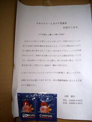 e0097770_1434983.jpg