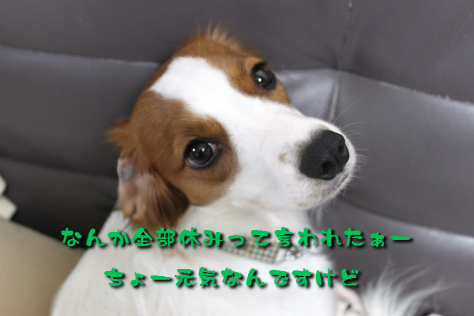a0076980_23563941.jpg