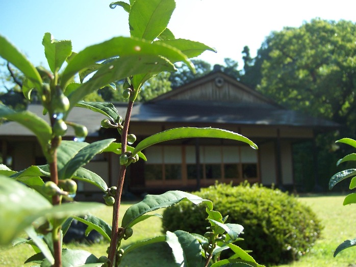 c0198781_16245410.jpg