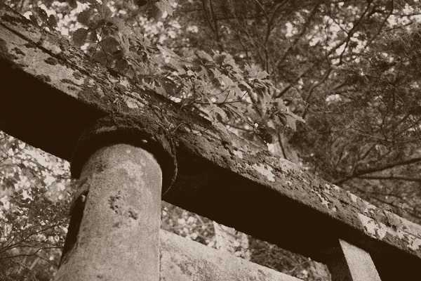 d0089281_14574797.jpg