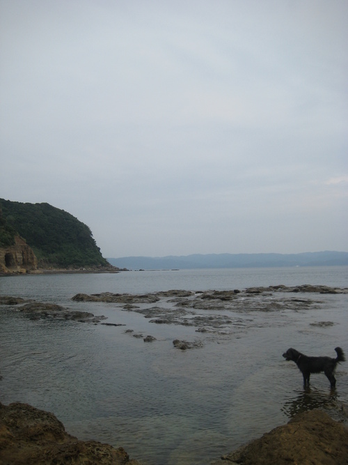 d0174683_1251358.jpg
