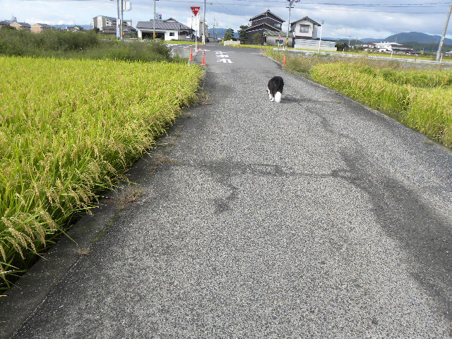 c0120585_20514534.jpg