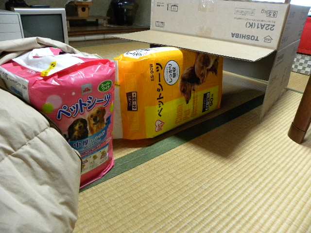 c0120585_210428.jpg