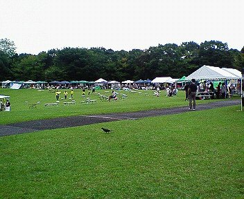 c0014187_17481281.jpg