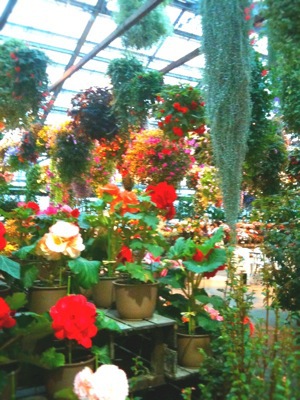 e0159287_2162689.jpg