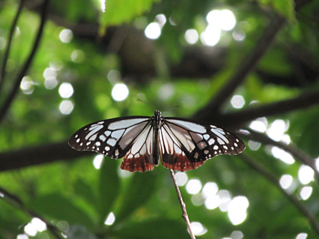 b0194593_2452841.jpg