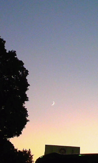 c0189894_18203363.jpg