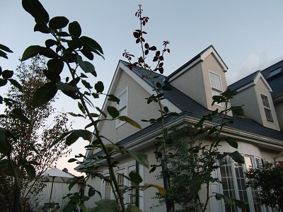 b0207995_20552376.jpg