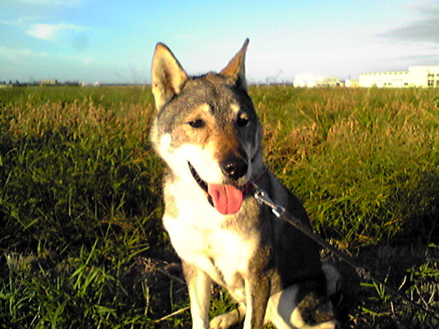 f0079202_20462041.jpg