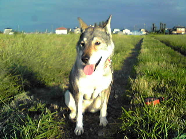 f0079202_20462057.jpg