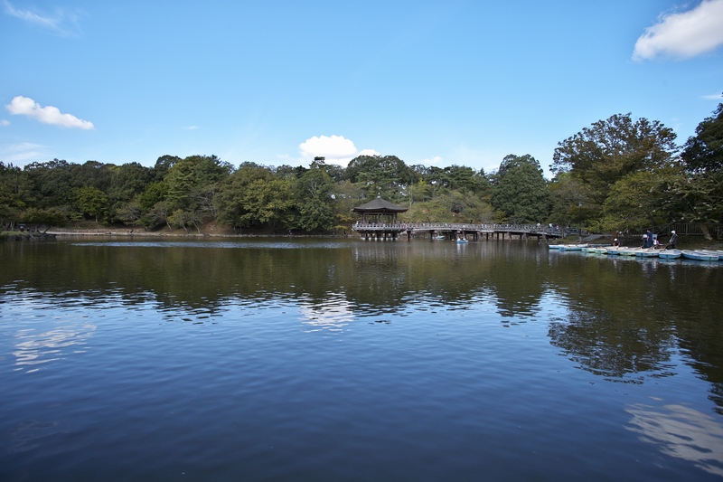 c0043403_22175890.jpg