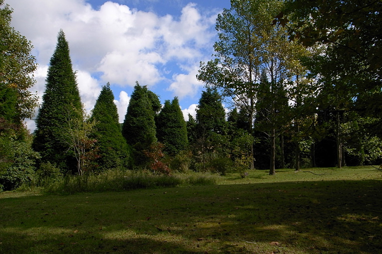 c0102003_6473841.jpg