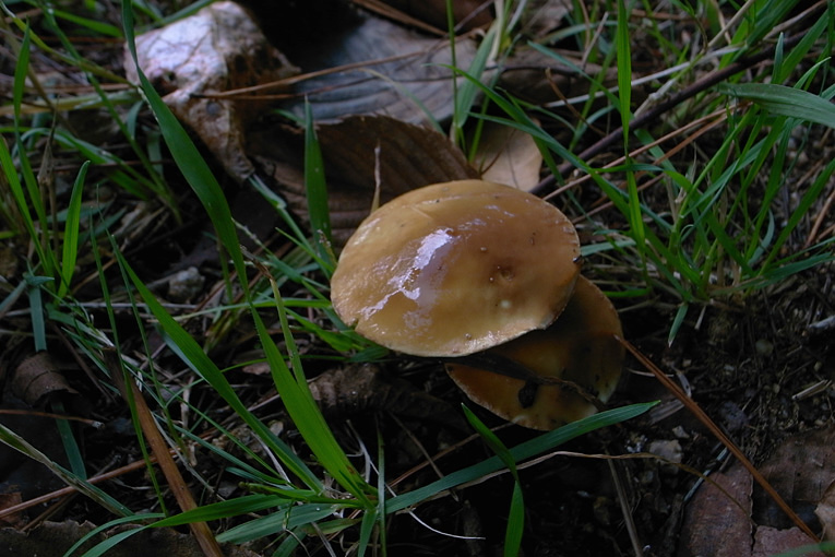 c0102003_654846.jpg