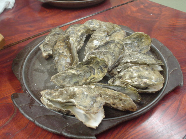 a0116205_18234259.jpg