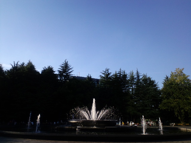 a0088007_2336588.jpg