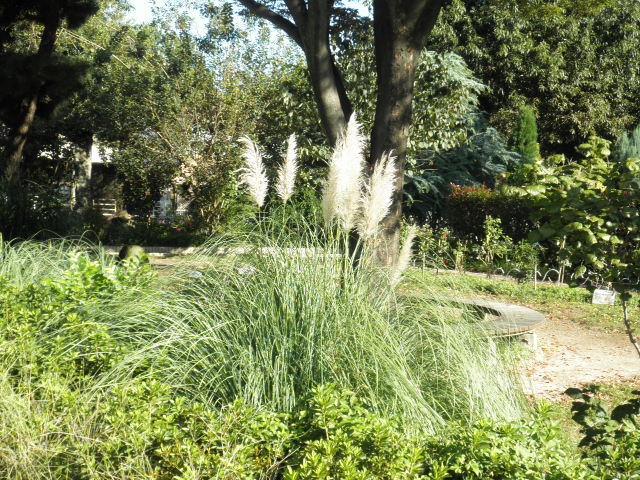 c0152507_10152725.jpg