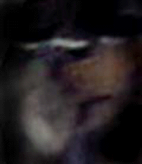 e0103408_19242278.gif