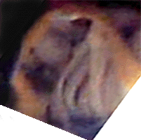 e0103408_1930514.gif