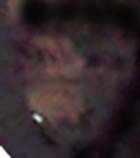 e0103408_1931266.gif