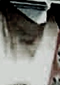 e0103408_19314118.gif