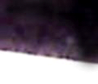e0103408_1931761.gif