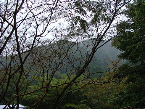 e0123808_16194292.jpg