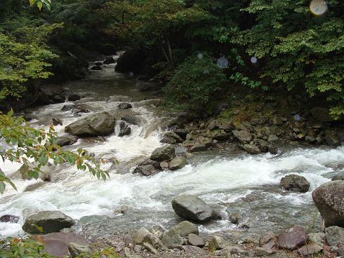 e0123808_1711970.jpg