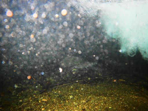 e0123808_1715936.jpg