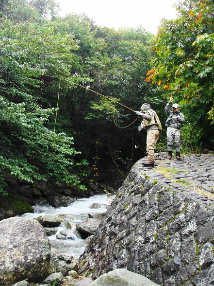 e0123808_1751525.jpg