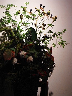 c0201910_1205541.jpg
