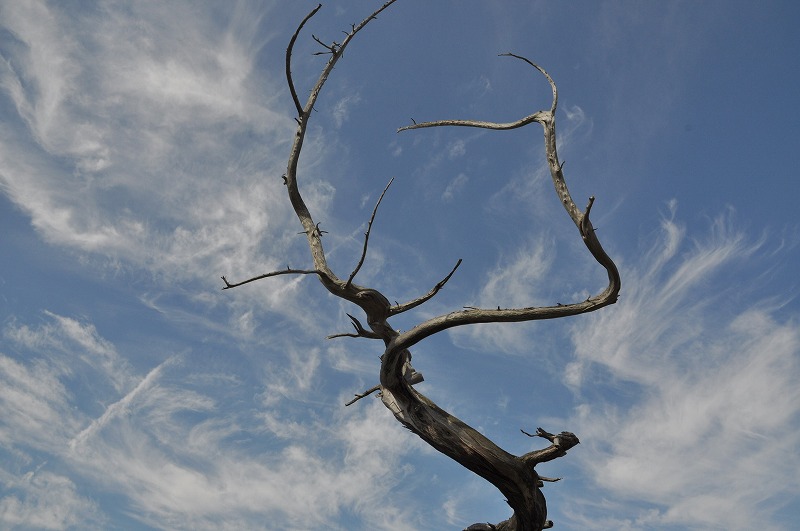 f0213613_23204639.jpg