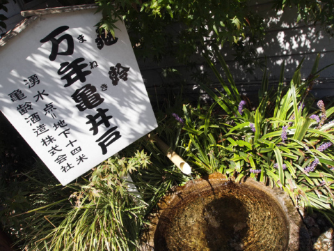 c0175715_11341.jpg