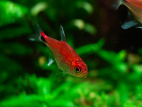 e0200816_11324013.jpg