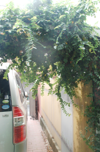f0217217_1324886.jpg