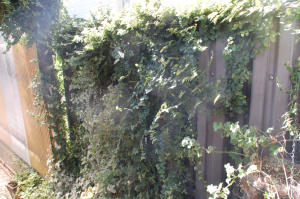 f0217217_1325185.jpg