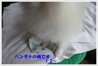 b0167519_9255110.gif