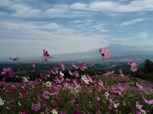 b0008825_2222512.jpg