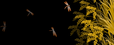 a0098027_153135.gif