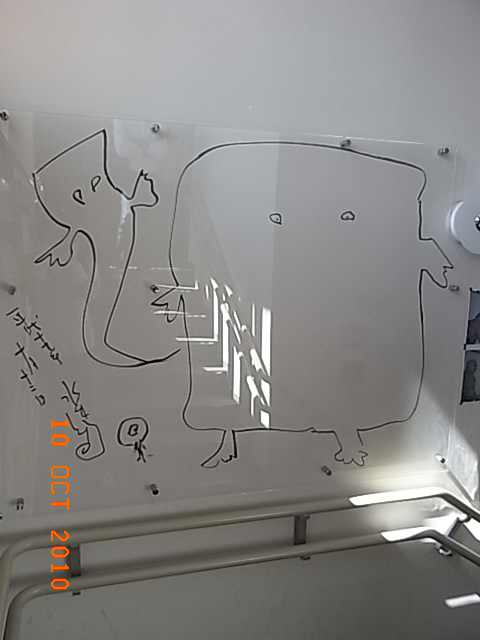 e0053327_216117.jpg