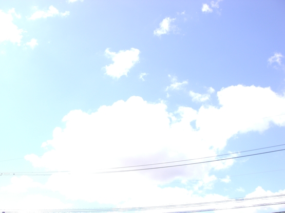 d0160931_11383871.jpg