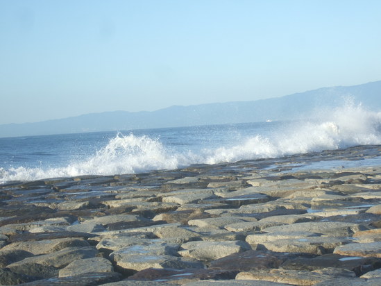 b0137932_11571671.jpg