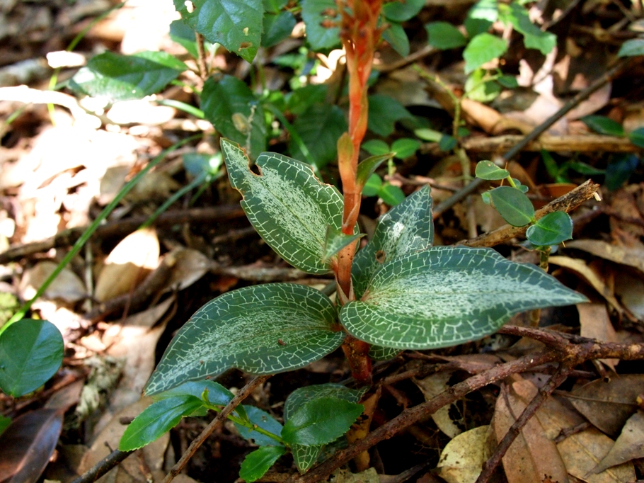 b0201233_20553020.jpg