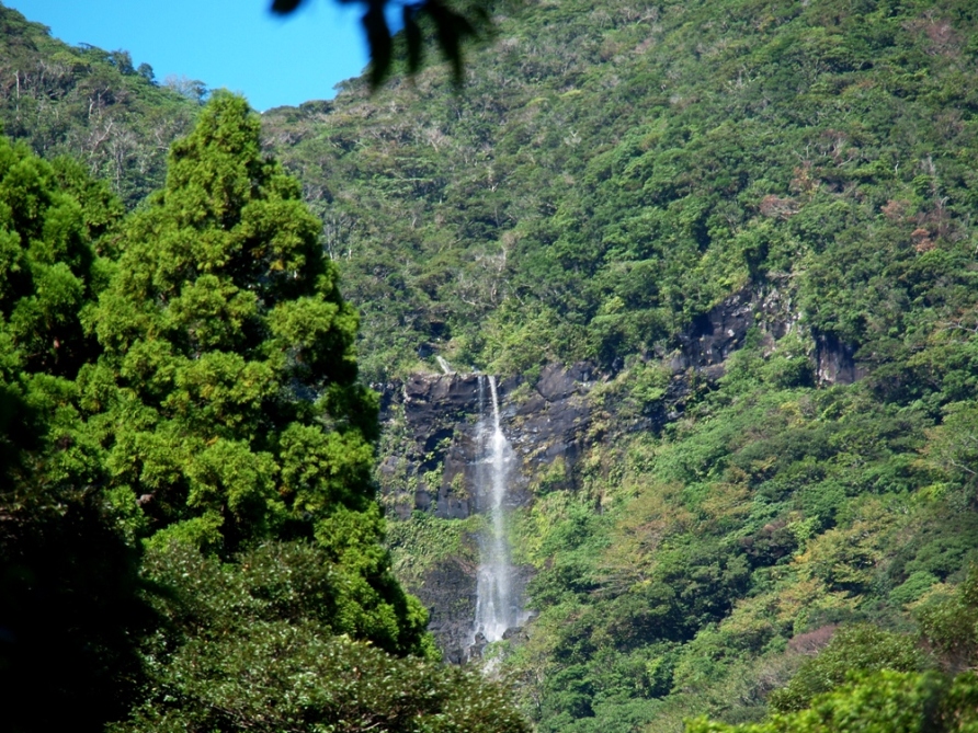 b0201233_2056459.jpg