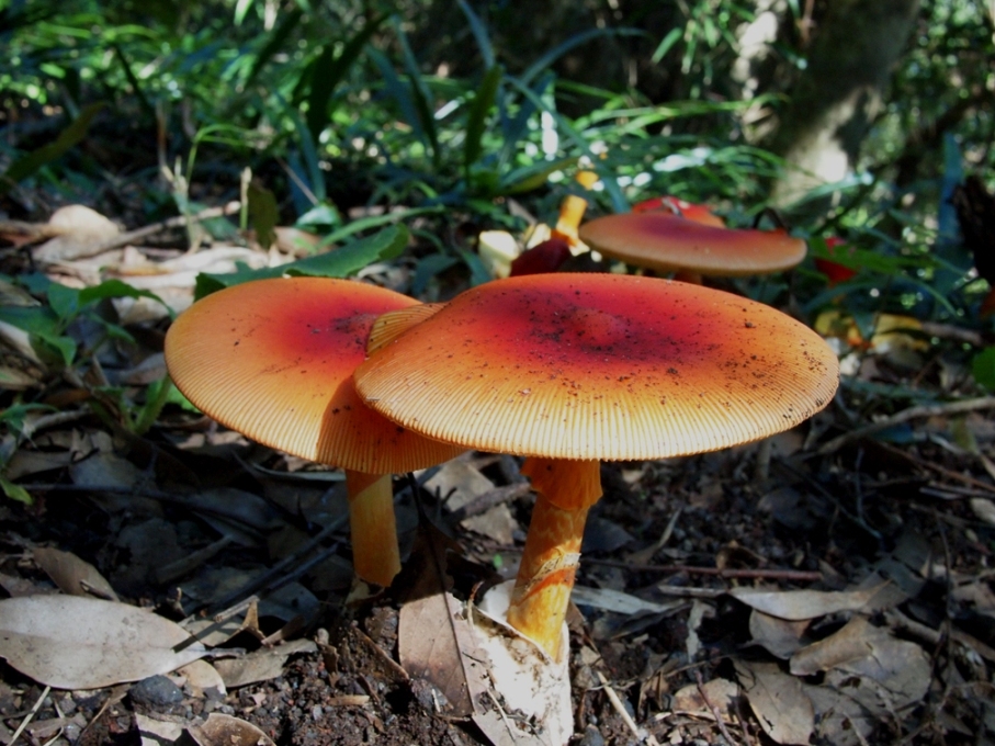 b0201233_2104546.jpg