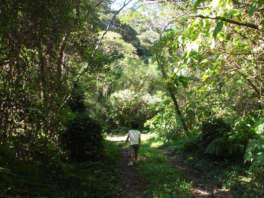 b0201233_218311.jpg