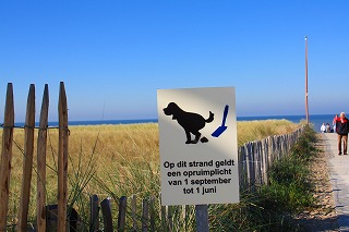 c0153740_1442612.jpg